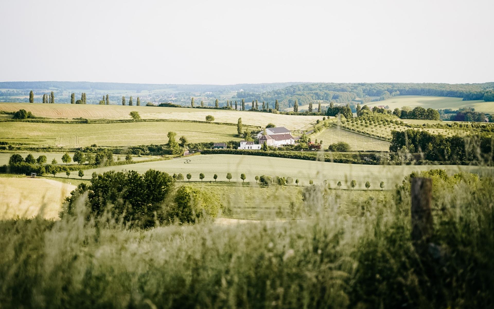 Heuvelland